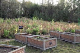 Paradiesgaerten Berlin