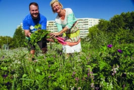 Paradiesgaerten Berlin