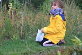 Paradiesgaerten Berlin