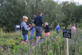 Paradiesgaerten Berlin