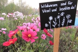 Paradiesgaerten Berlin