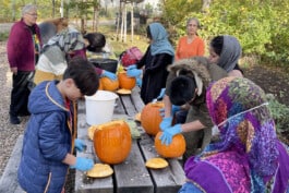 Paradiesgaerten Berlin